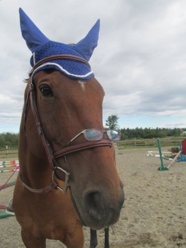 photo par rozalee02