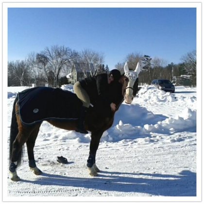 Beautiful winter day <3