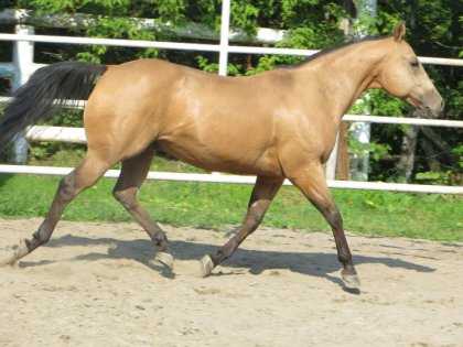 photo par MariePierR Nic ce matin :)
