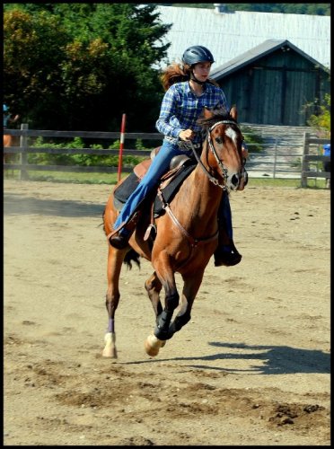 Moi & mon gros Tristan à un gymkhana !