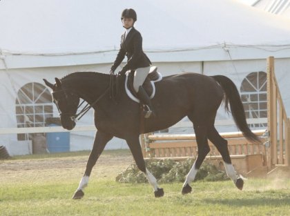 Plat Bellissima et moi concours provincial pépinière 2013