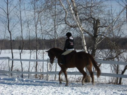 Moi et Dusty en dressage ! Je suis en train de devenir acro au...