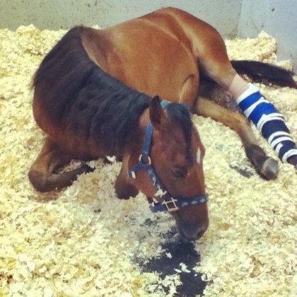 Beau bebe a St-Hyacinthe<3