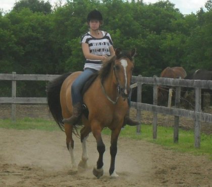 Moi sur Choco (cheval de l'écurie Céline Brault)