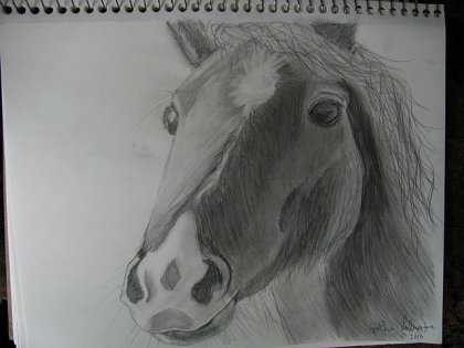 Je n'avais pas refait de dessin depuis 3 ans. Je suis pas mal...