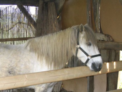 photo par Candy32