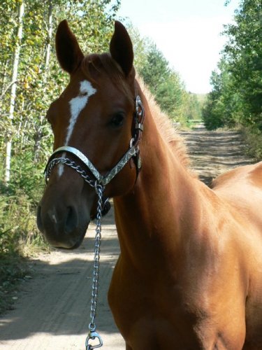 Rebelicious Guy , 17 mois :) que tu est beau avec ton punk :P