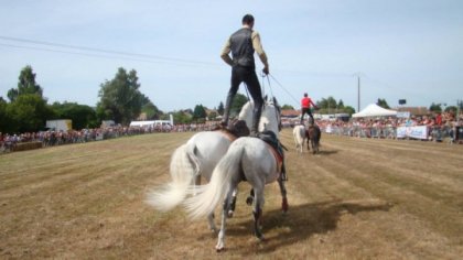 Fête du cheval 2013 