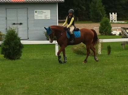 Pratique a Napierville la criniere 2013
