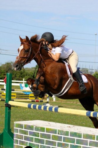 Super poney! 3 jours avant les jeux, I CAN'T WAIT! 