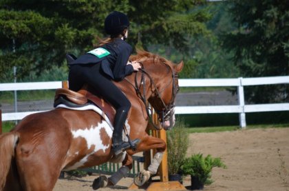 photo par Lill'Jazz Concours La Licorne