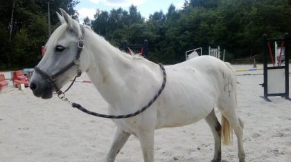 Lise en travaille a pied