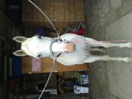 le joli chaman :) &#9829;