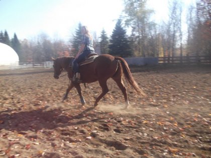 photo par yankee27