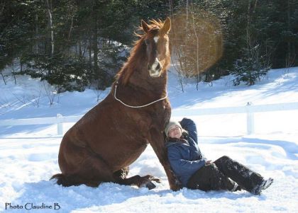 Moi et Roxy. Elle est la jument du proprio de mon &eacute;curie et je...