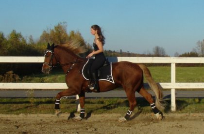 Sur Brazile en manège, 12 octobre 2013. :)