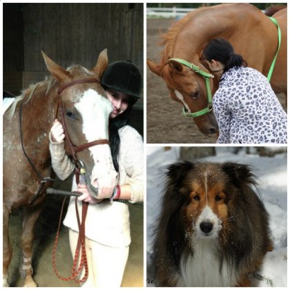 un petit montage de mes 3 amours ! Holly, Guetta et Rafale <3