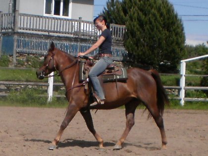 ma jument et moi