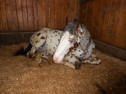 b&eacute;b&eacute; qui dort :P
