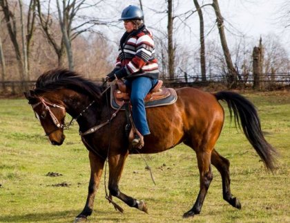 photo par monro
