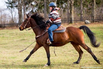 photo par monro