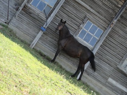 Ma belle Késsie :) <3