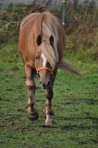 Mon amour, mon vrai, ma vie <3