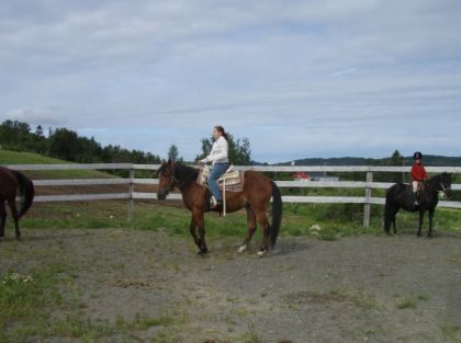 Moi et Saphire,une maudite GROSSE pouliche de 2 ans,au Ranch CR