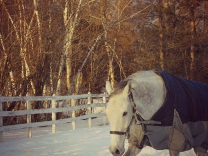 i miss the old time, when he was running in the snow... I miss...