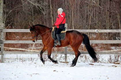 1 er galop sur neige..Je crois que ça va lui apprendre beaucoup!