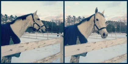 Petit trip de montage photos.. hihi