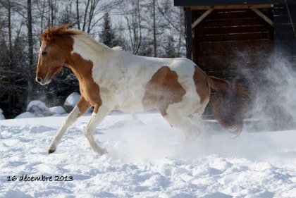 photo par Got trail