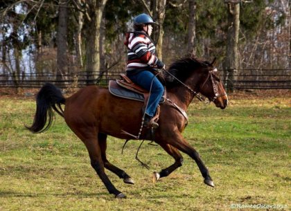 photo par monro