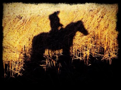 Ombre d'une cavalière et son cheval dans l'herbe