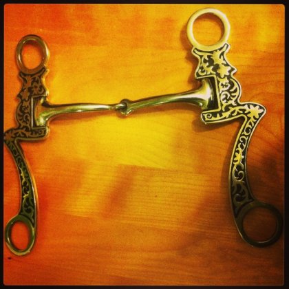 Mon nouveau mors! <3 :-)  - Photo de Miss_Fey