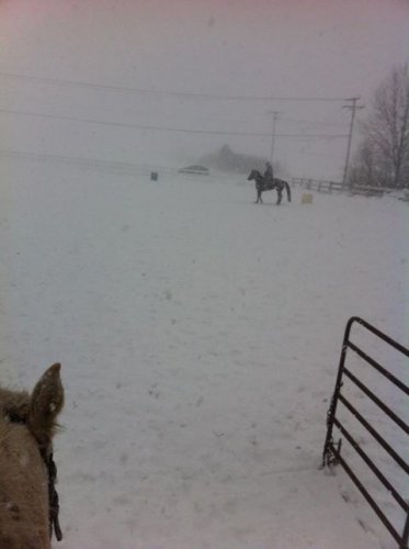 En Abitibi-Abitibi-Témiscamingue on est des tuff on ride même...