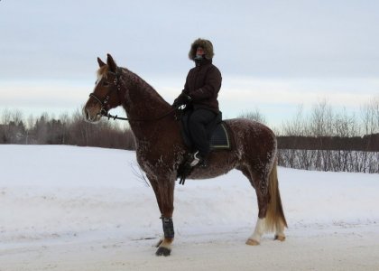 En revenant de trail avec Mlle Frosty! :)