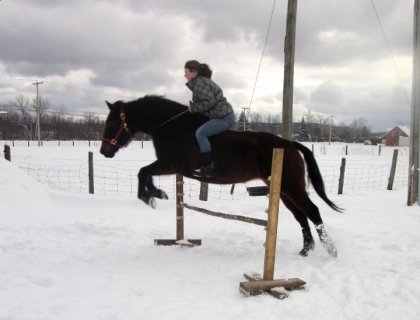 Belle journée aujourd'hui, faut en profiter ! petit saut en...