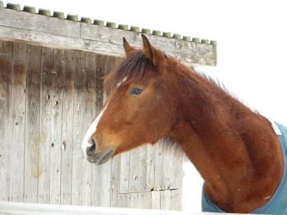 Obrien 21mois. :) Il embelli de jour en jour ce Loulou :)