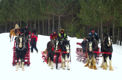 Belle randonnée d'hiver ! Une photo que j'ai prit de la gang en...