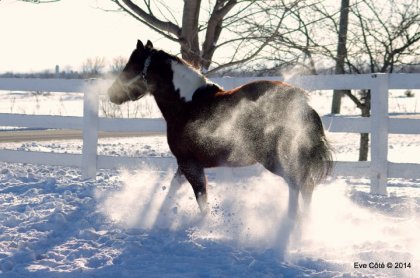 La magie de la neige...