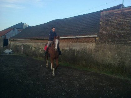 photo par horse123
