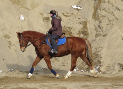 Entrainement sur ma jument dans le pite de sable, février 2014....