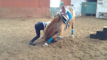 Révérance <3