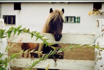 Charliie :)