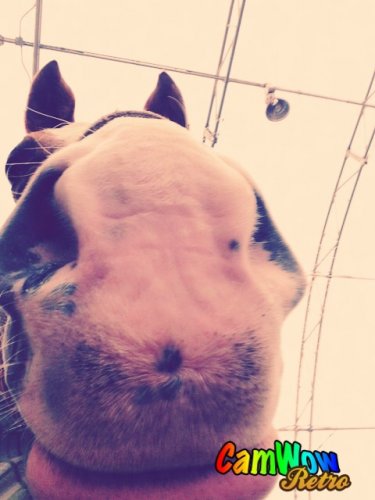 Un gros nez! Hihi