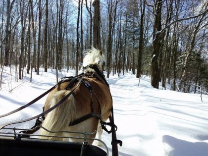woup woup! dans le bois avec Cassie :)