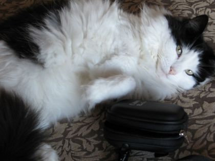 La petite cocotte..:P