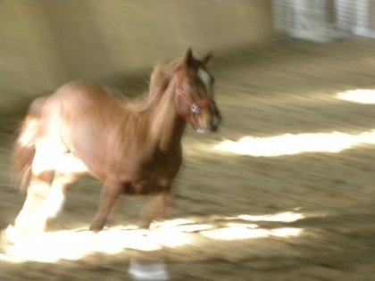 photo par lover18