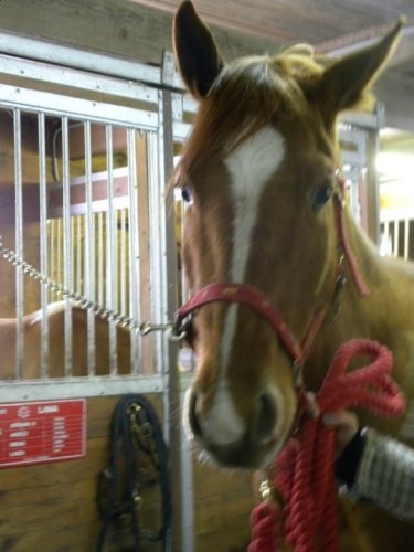 photo par lover18